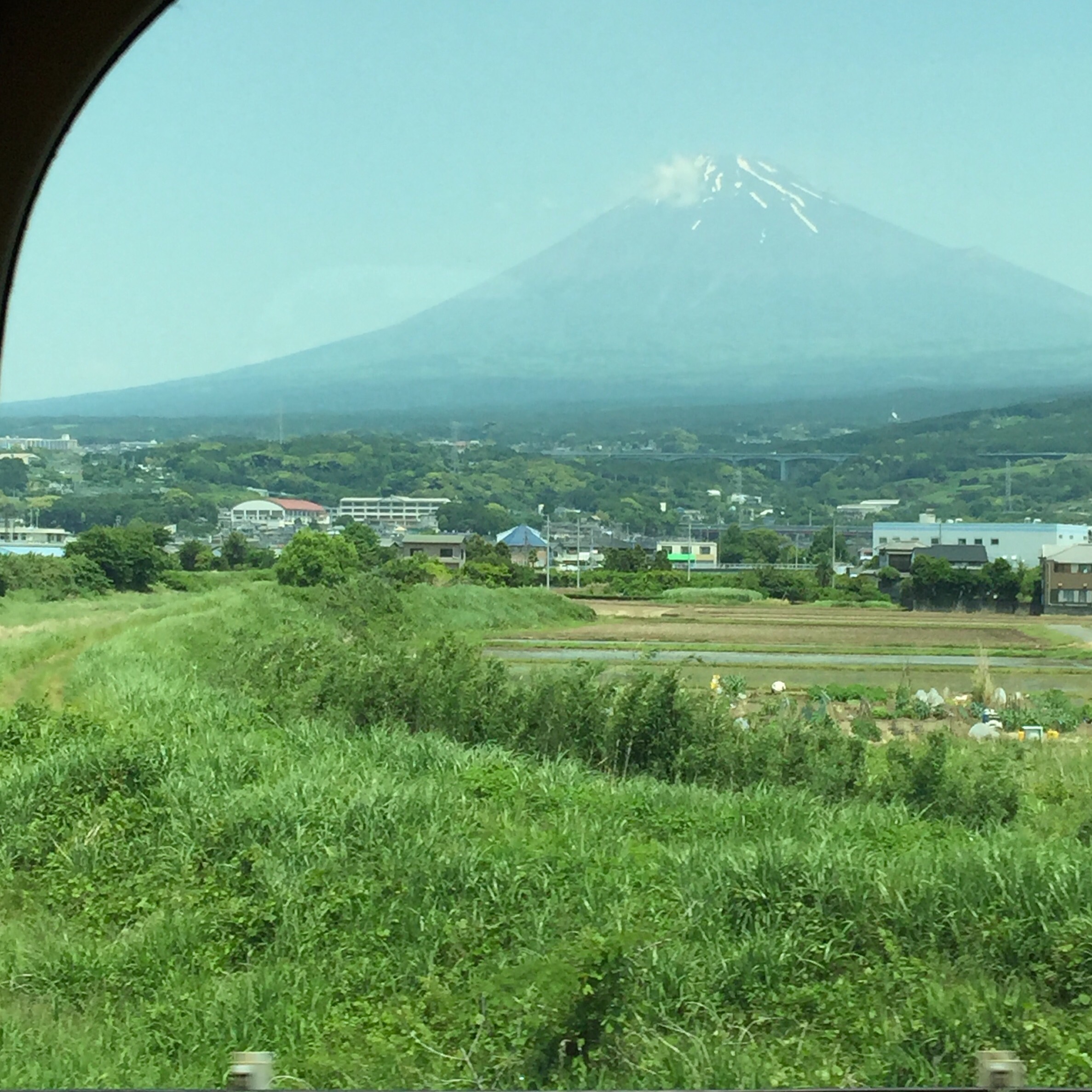 Flower of the Forest – Takayama 高山市 – A love for both the