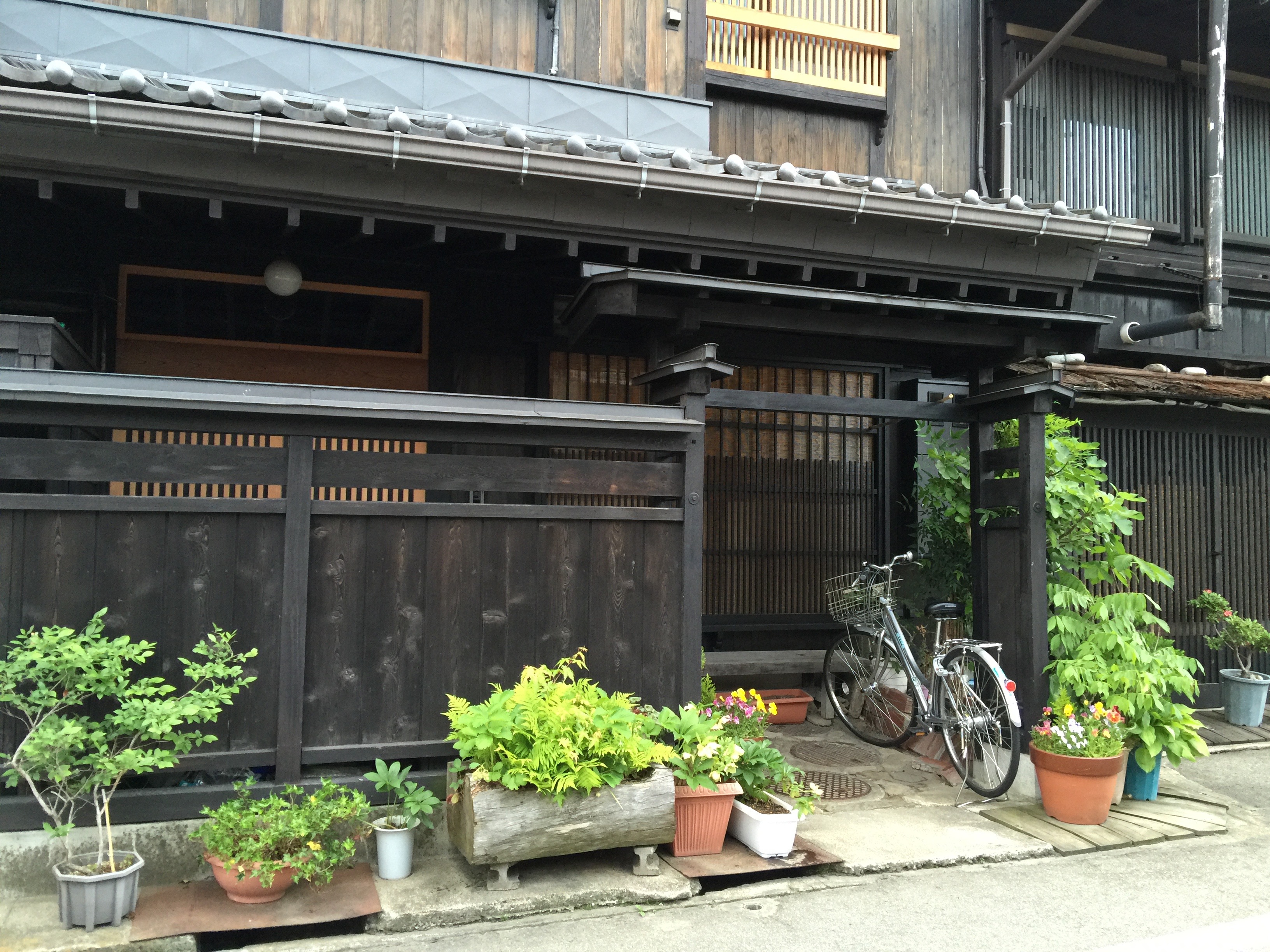 Flower of the Forest – Takayama 高山市 – A love for both the