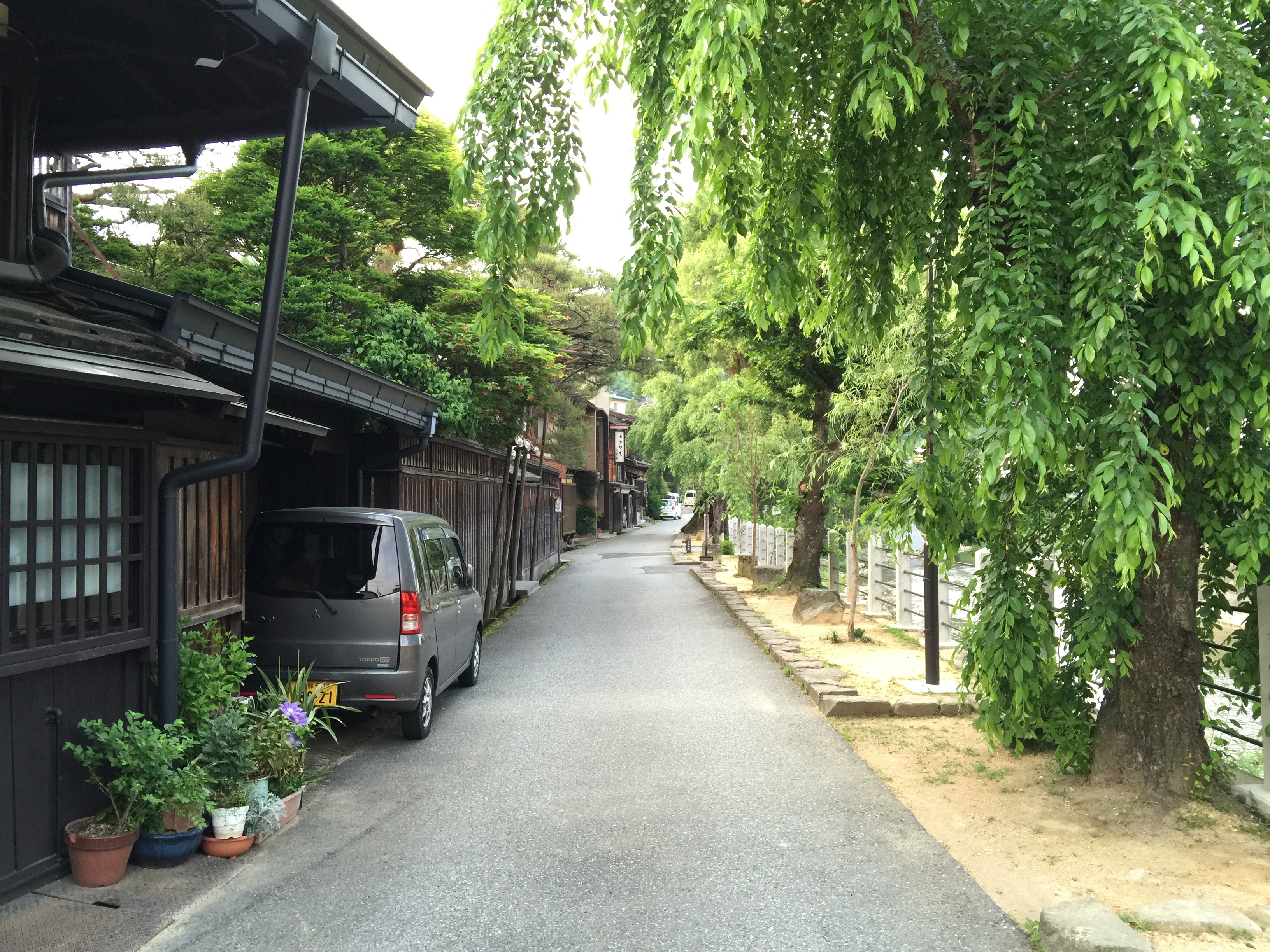 Flower of the Forest – Takayama 高山市 – A love for both the